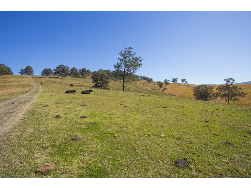Lots 1-3 DP1103694 EP30785, Dungog NSW 2420