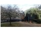 604 Wallarobba-Brookfield Road, Dungog NSW 2420