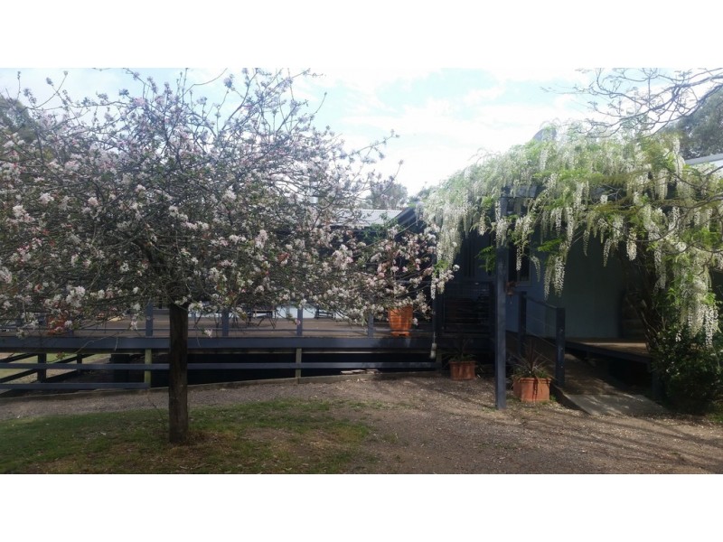 604 Wallarobba-Brookfield Road, Dungog NSW 2420