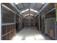 604 Wallarobba-Brookfield Road, Dungog NSW 2420