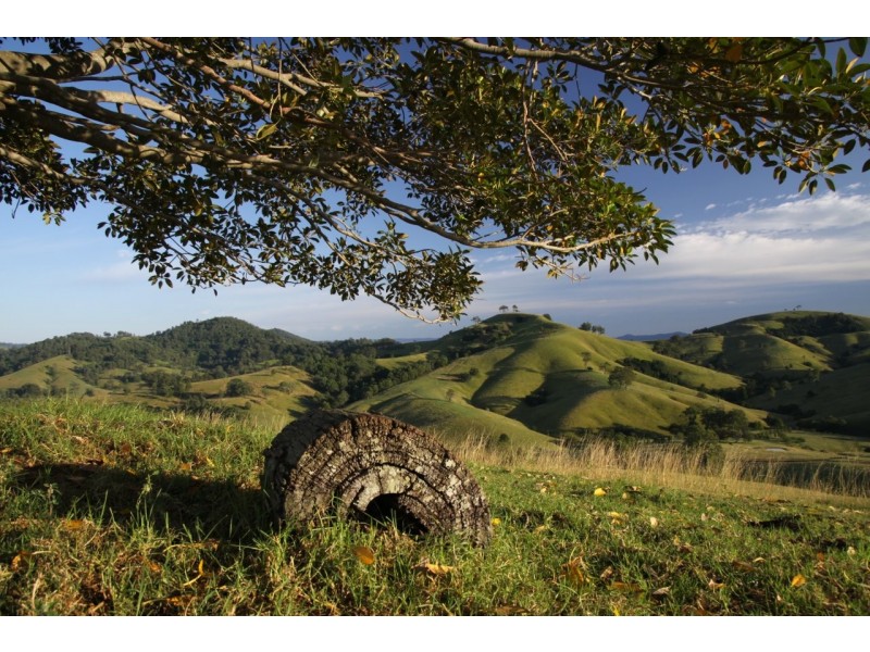 569 Sugarloaf Road, Dungog NSW 2420