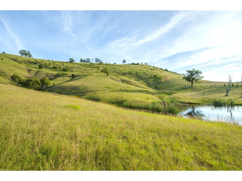 569 Sugarloaf Road, Dungog NSW 2420