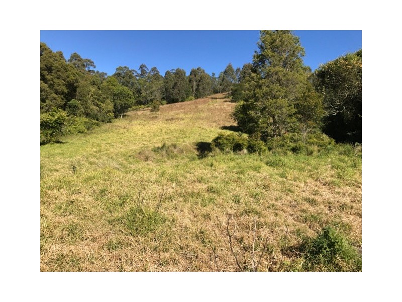 129 Quartpot Creek Road, Underbank NSW 2420