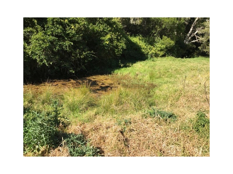 129 Quartpot Creek Road, Underbank NSW 2420