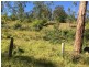 129 Quartpot Creek Road, Underbank NSW 2420