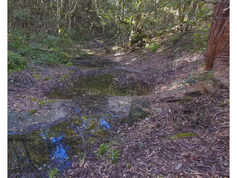 127 Quartpot Creek Road, Underbank via, Dungog NSW 2420