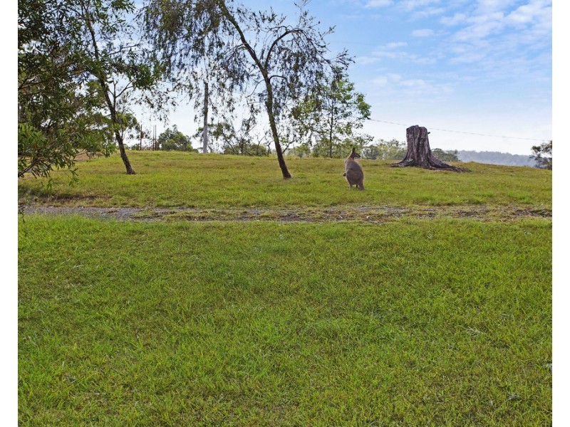 14/1953 Chichester Dam Road, Bandon Grove Via, Dungog NSW 2420