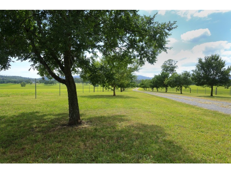 558 Gresford Road, Paterson NSW 2421