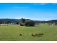 33 Salisbury Road, Dungog NSW 2420
