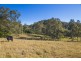 1401 Dungog Road, Wallarobba NSW 2420