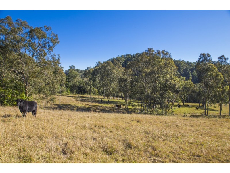 1401 Dungog Road, Wallarobba NSW 2420