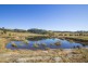 1401 Dungog Road, Wallarobba NSW 2420
