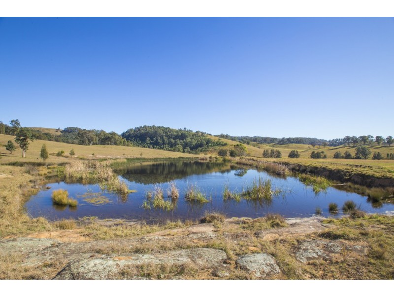 1401 Dungog Road, Wallarobba NSW 2420