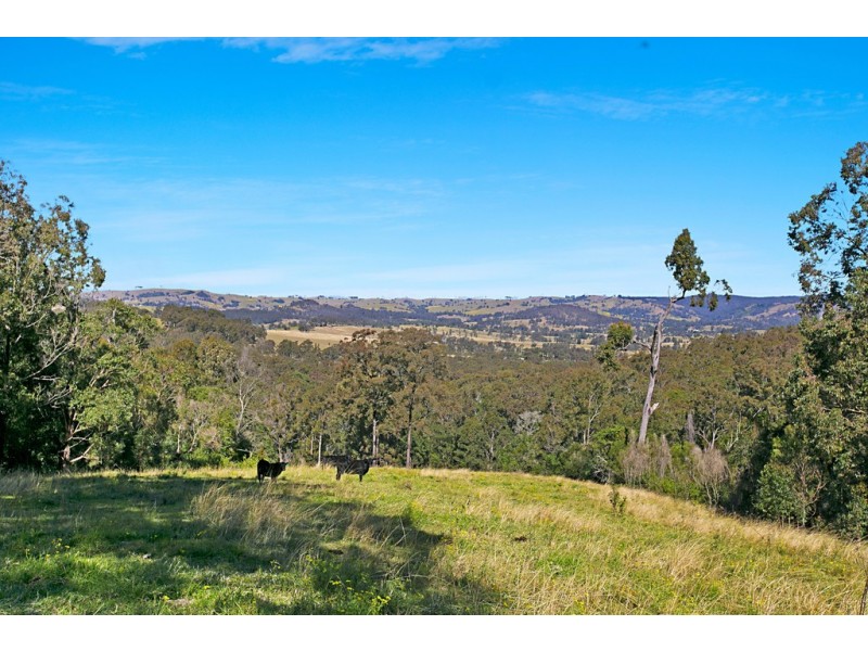 230 Wallaringa Road, Dungog NSW 2420