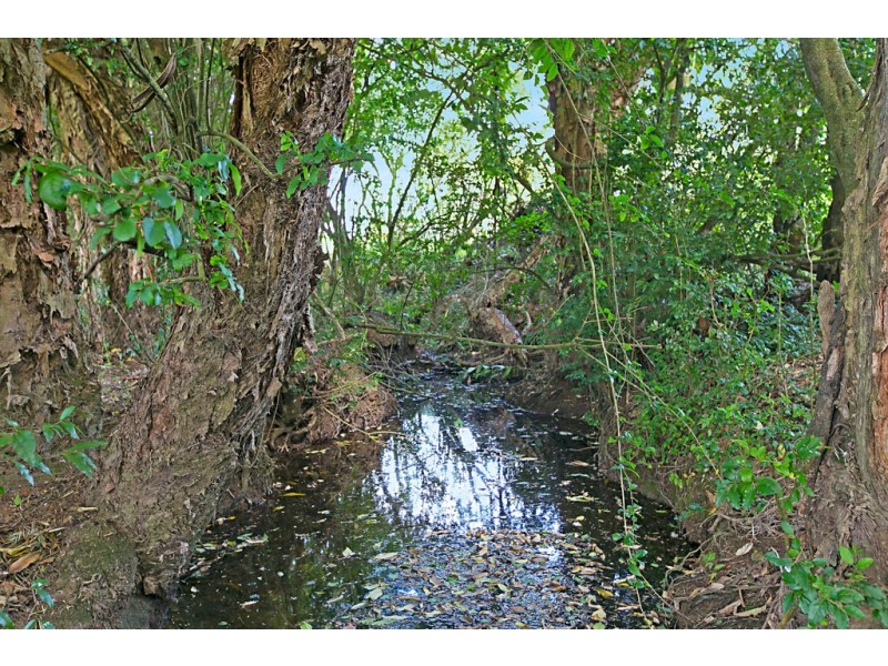 76 Millbrook Road, Stroud NSW 2425