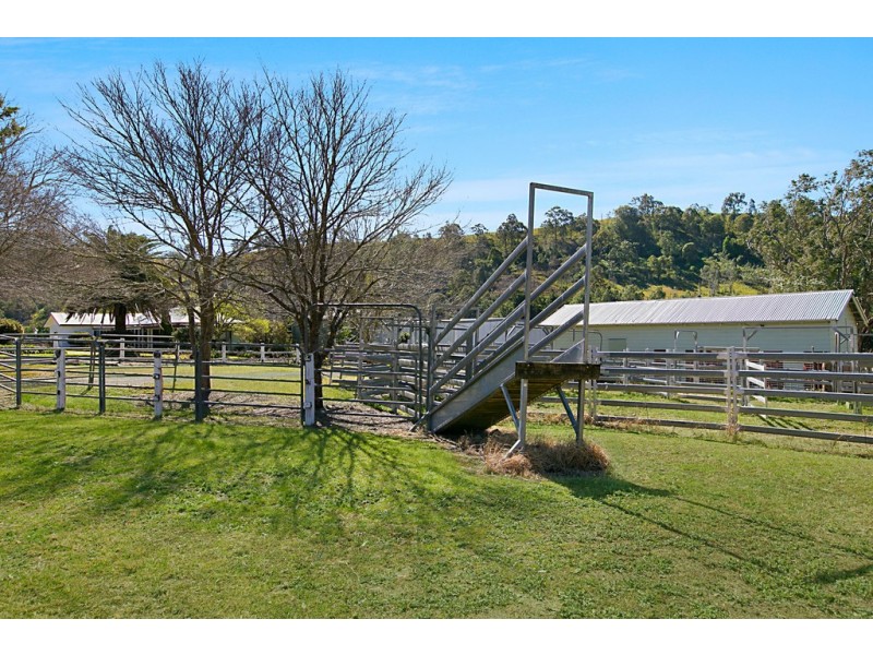 126 Sugarloaf Road, Dungog NSW 2420