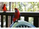 Cabin 18,2940 Salisbury Road, Salisbury Via, Dungog NSW 2420