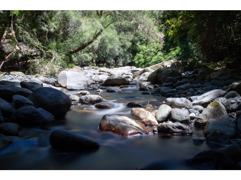Cabin 18,2940 Salisbury Road, Salisbury Via, Dungog NSW 2420