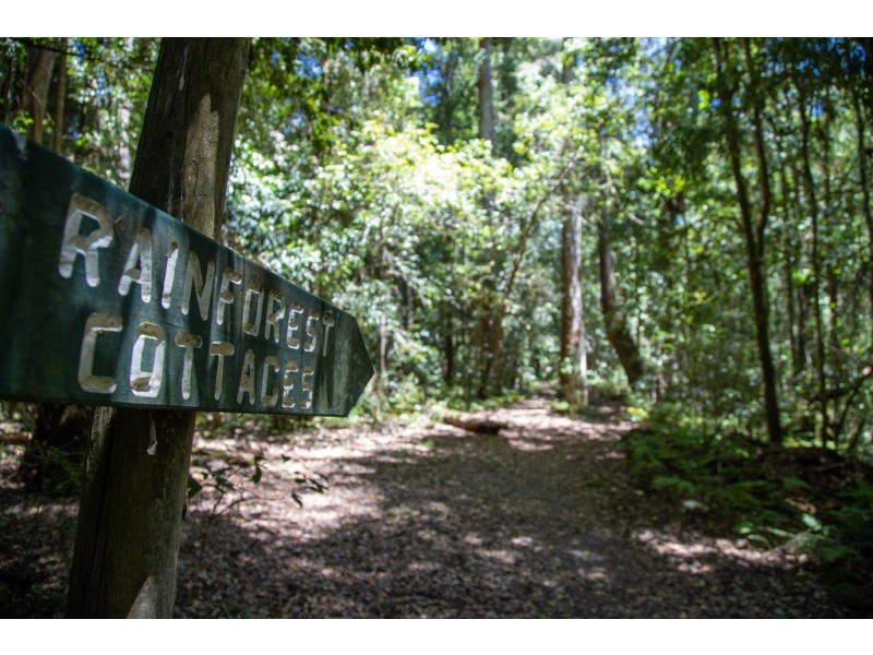 Cabin 18,2940 Salisbury Road, Salisbury Via, Dungog NSW 2420