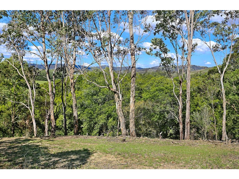 270 Fosterton Road, Dungog NSW 2420