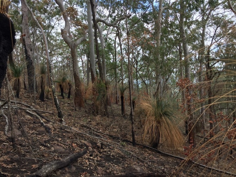 30 Greswick Road, East Seaham NSW 2324