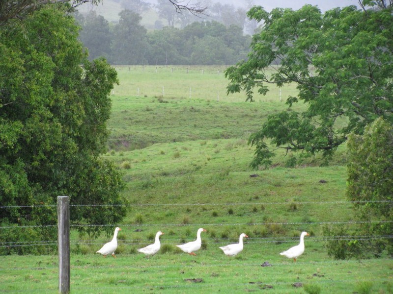 734 Glen William Road, Clarence Town NSW 2321