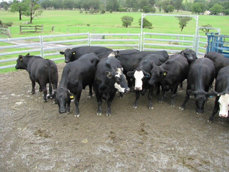 734 Glen William Road, Clarence Town NSW 2321