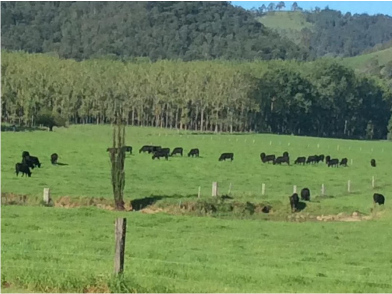 734 Glen William Road, Clarence Town NSW 2321