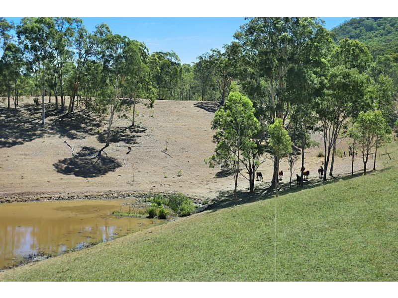 377 Lambs Valley Road, Lambs Valley NSW 2335
