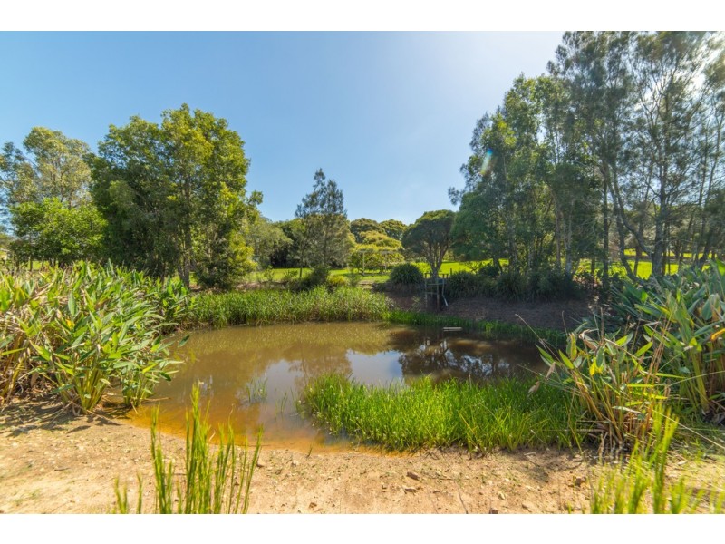 22 Sophia Jane Drive, Nelsons Plains NSW 2324