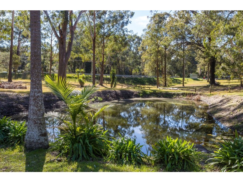 17 Brandy Hill Drive, Brandy Hill NSW 2324