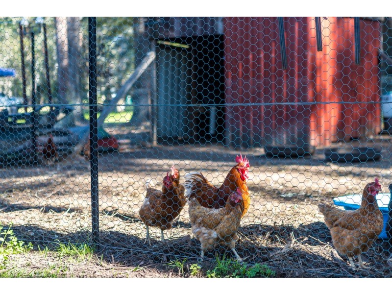 17 Brandy Hill Drive, Brandy Hill NSW 2324