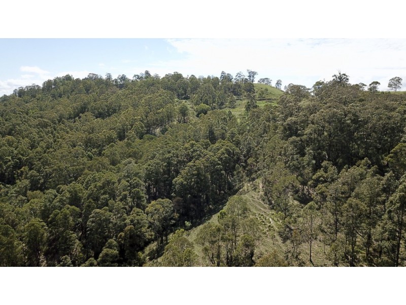 Lot 2/3 DP752469 Parks Creek Road, Gresford NSW 2311