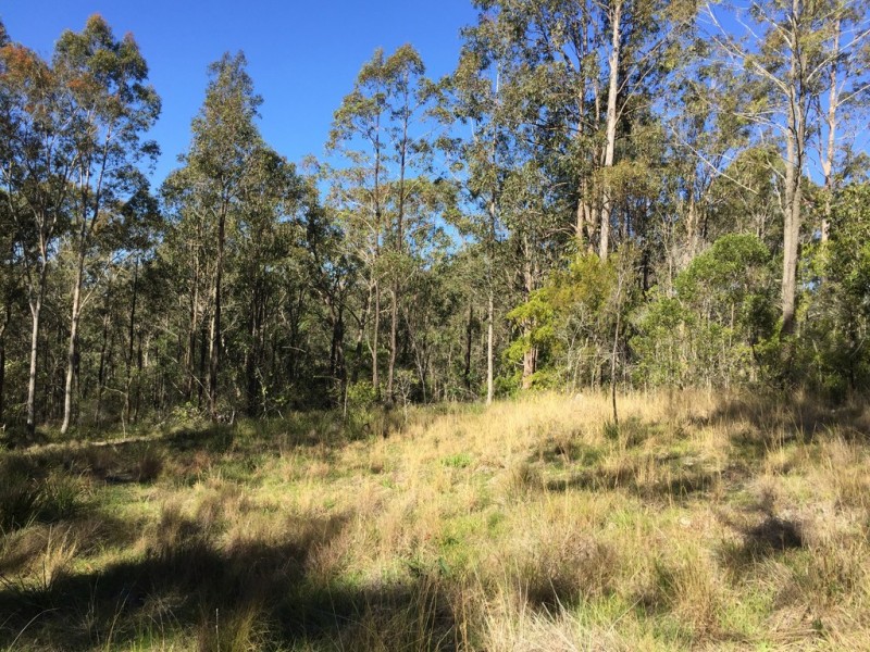93 Glen William Road Lot 256 DP752497, Clarence Town NSW 2321