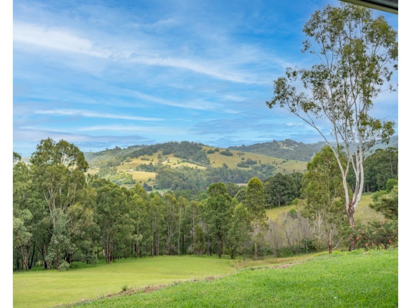 33 Wangat Trig Road, Bandon Grove Via, Dungog NSW 2420