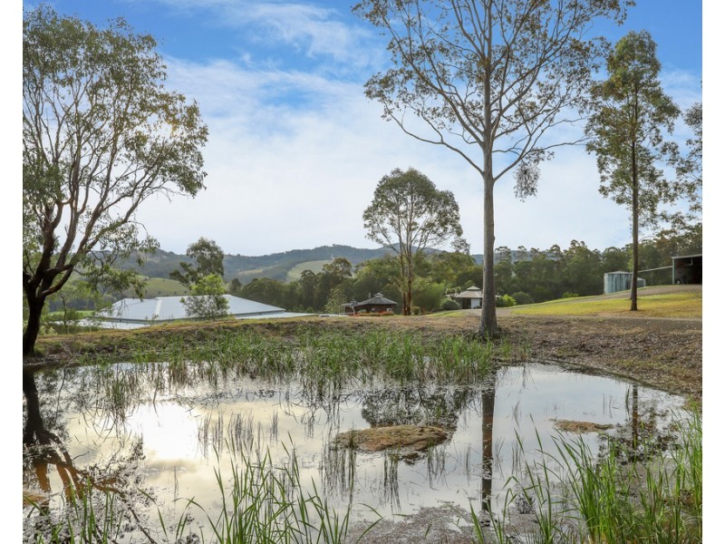 33 Wangat Trig Road, Bandon Grove Via, Dungog NSW 2420