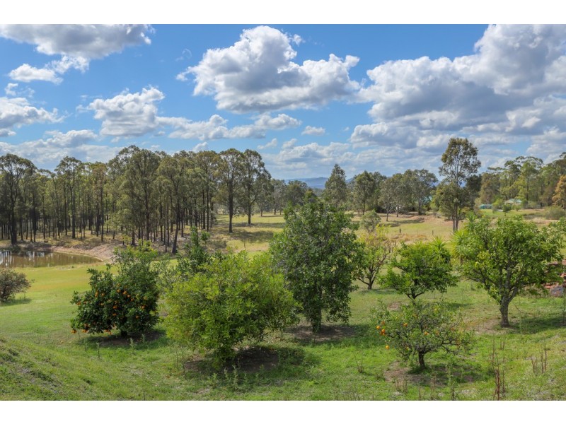 228 Wallarobba-Brookfield Road, Brookfield via, Clarence Town NSW 2321