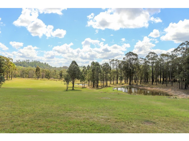 228 Wallarobba-Brookfield Road, Brookfield via, Clarence Town NSW 2321