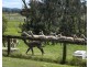 923E Paterson Road, Woodville NSW 2321