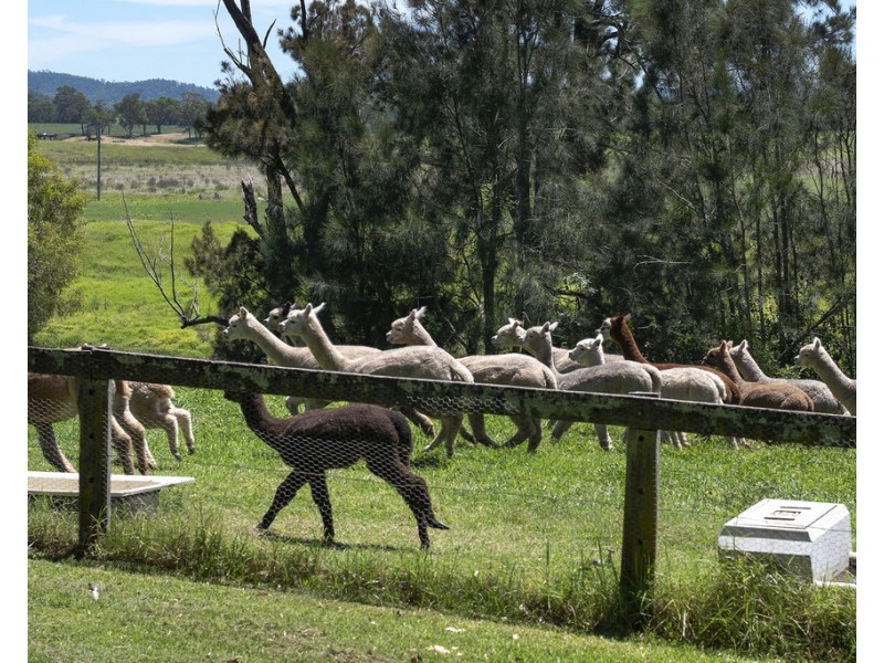 923E Paterson Road, Woodville NSW 2321