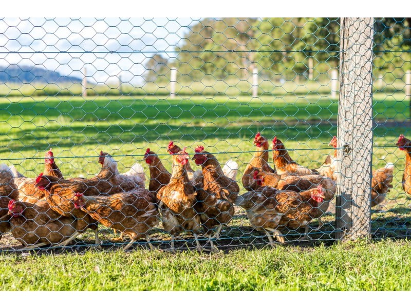 351 Glen Martin Road, Glen Martin Via, Clarence Town NSW 2321