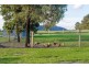 351 Glen Martin Road, Glen Martin Via, Clarence Town NSW 2321