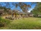 36 Martins Creek Road, Paterson NSW 2421