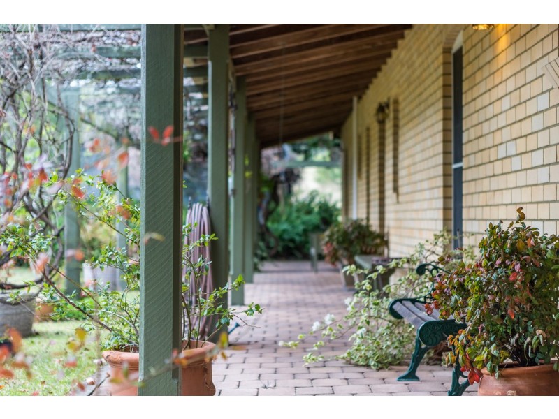 36 Martins Creek Road, Paterson NSW 2421