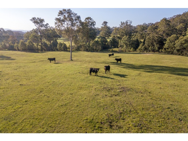 92 Punchs Road, Clarence Town NSW 2321