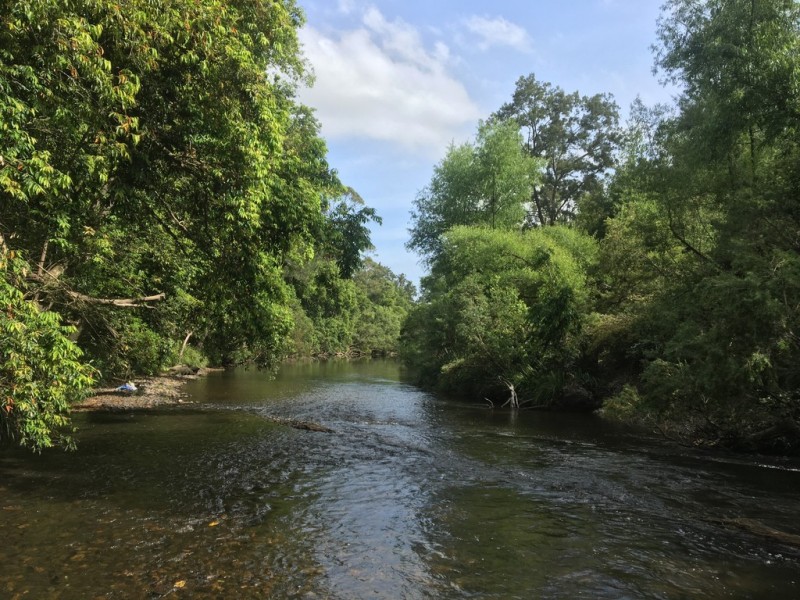 92 Punchs Road, Clarence Town NSW 2321