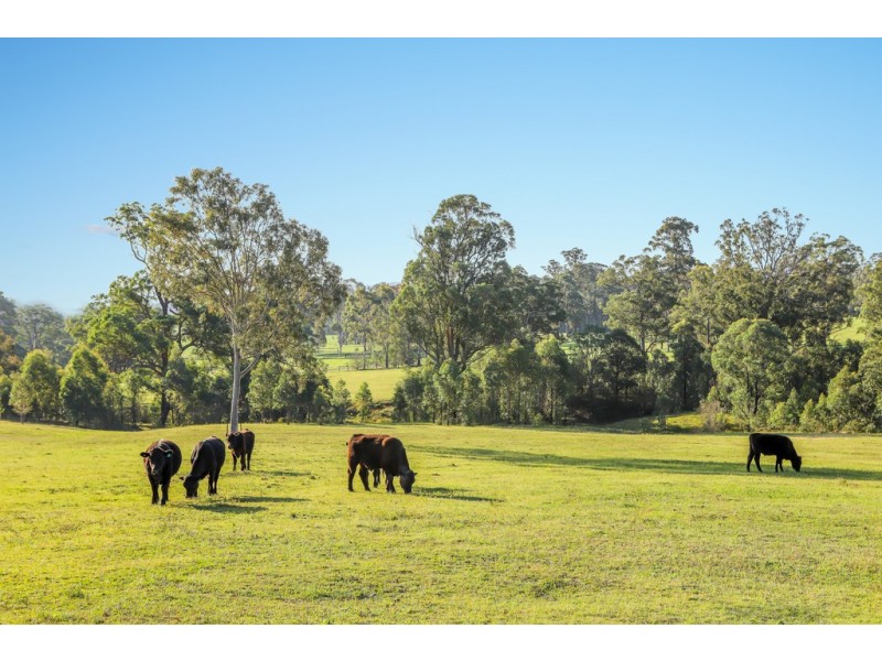 92 Punchs Road, Clarence Town NSW 2321