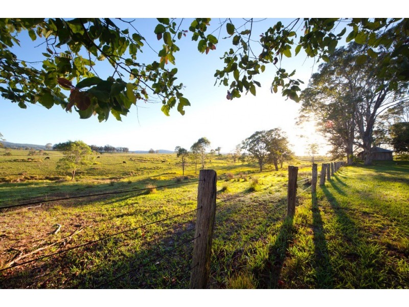 1230 Chichester Dam Road, Dungog, Bandon Grove NSW 2420