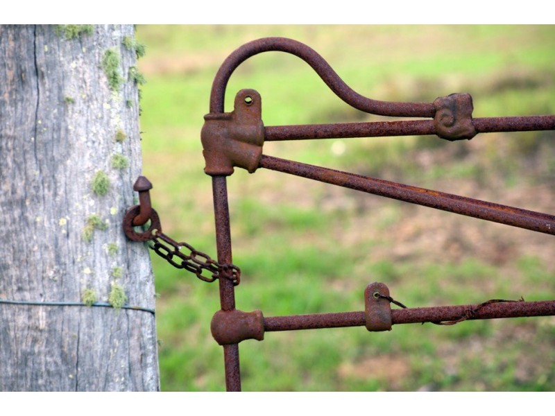 1230 Chichester Dam Road, Dungog, Bandon Grove NSW 2420