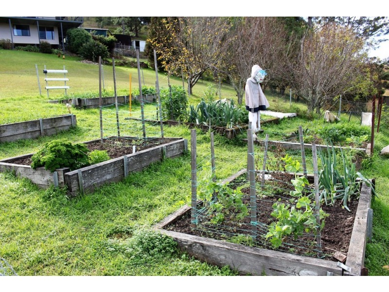 367 Moores Road, Monkerai via, Dungog NSW 2420